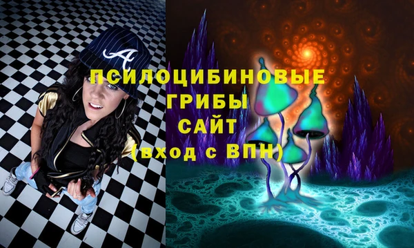 ешки Алексин