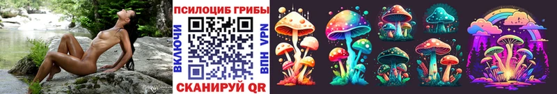 сколько стоит  Ессентукская  Галлюциногенные грибы Magic Shrooms 