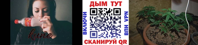 Бошки Шишки White Widow  Ессентукская 